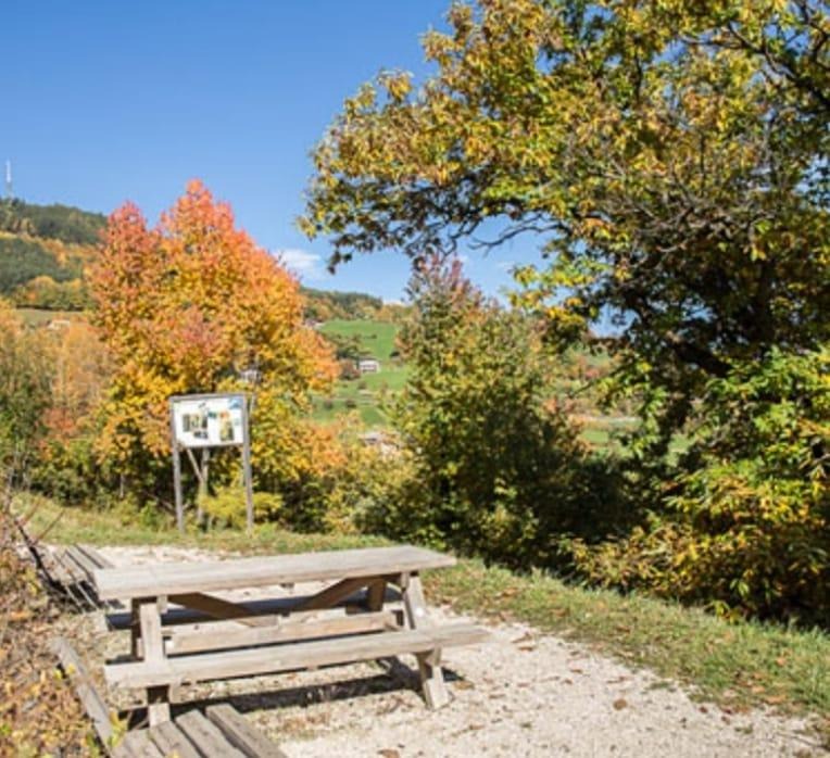 signal-2023-12-01-232711