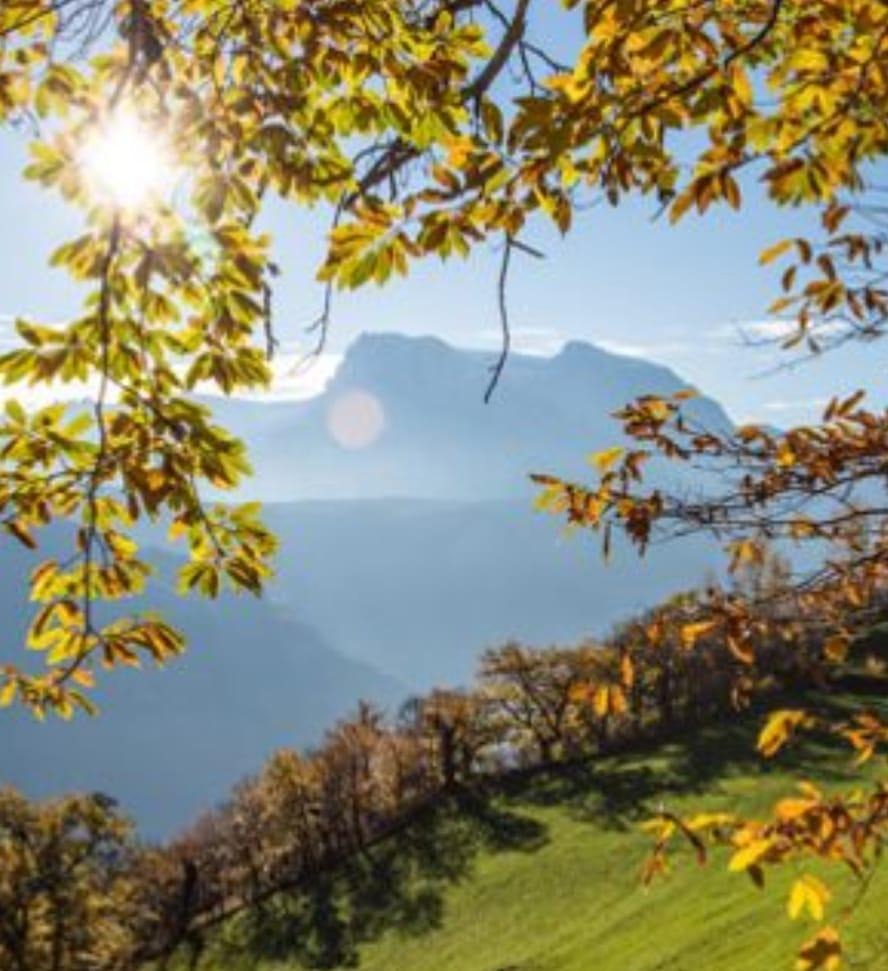 signal-2023-12-01-232737