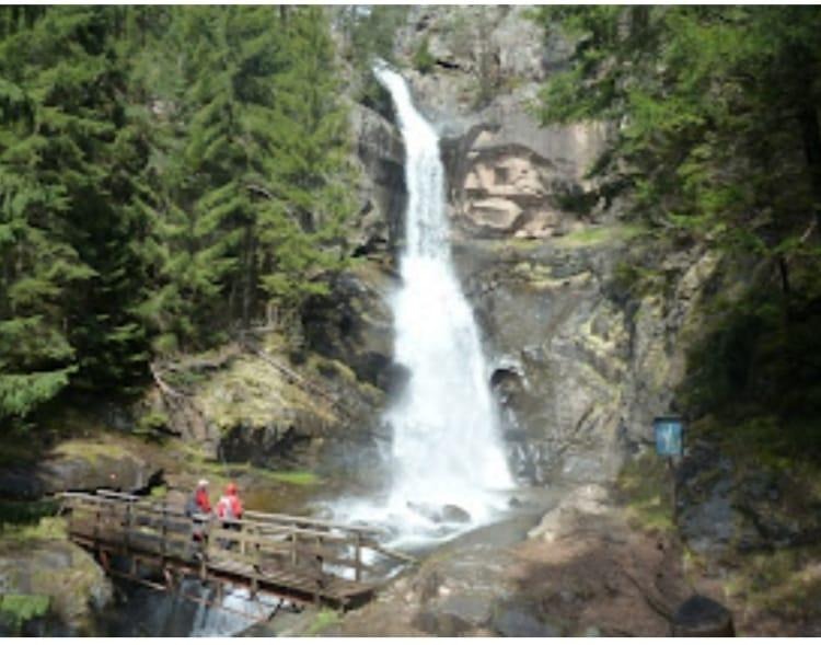 signal-2023-12-01-232831